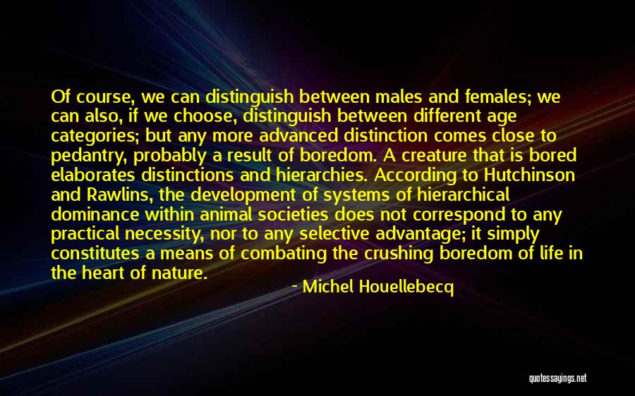 Correspond Quotes By Michel Houellebecq