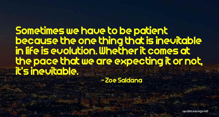 Correttamente Sinonimo Quotes By Zoe Saldana Correttamente Sinonimo Quotes By Zoe Saldana