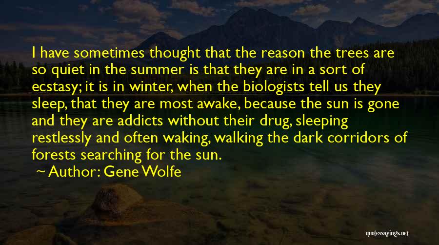 Corridors Quotes By Gene Wolfe