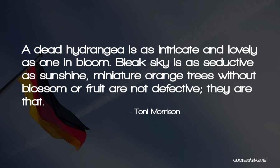 Corrimano Ferro Quotes By Toni Morrison Corrimano Ferro Quotes By Toni Morrison