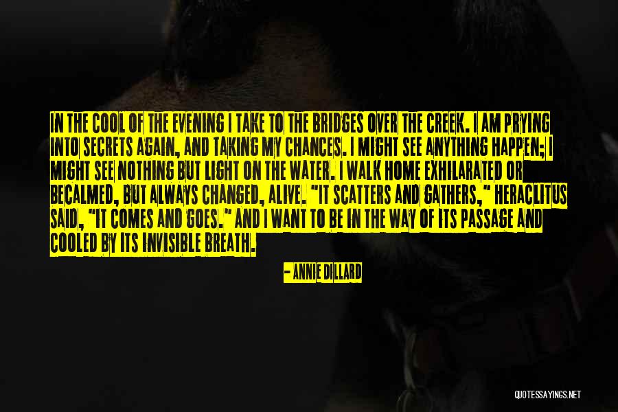 Corrispondenza Sinonimo Quotes By Annie Dillard Corrispondenza Sinonimo Quotes By Annie Dillard