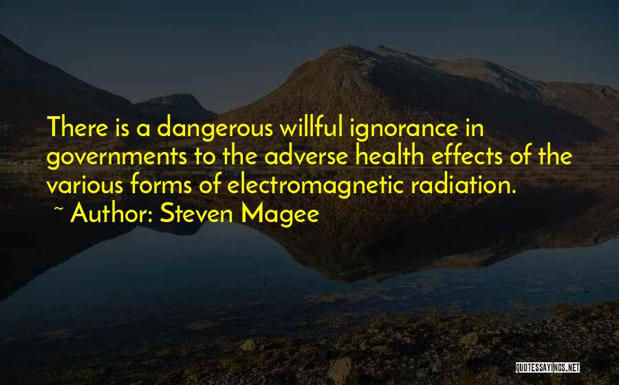 Corruption Of Government Quotes By Steven Magee