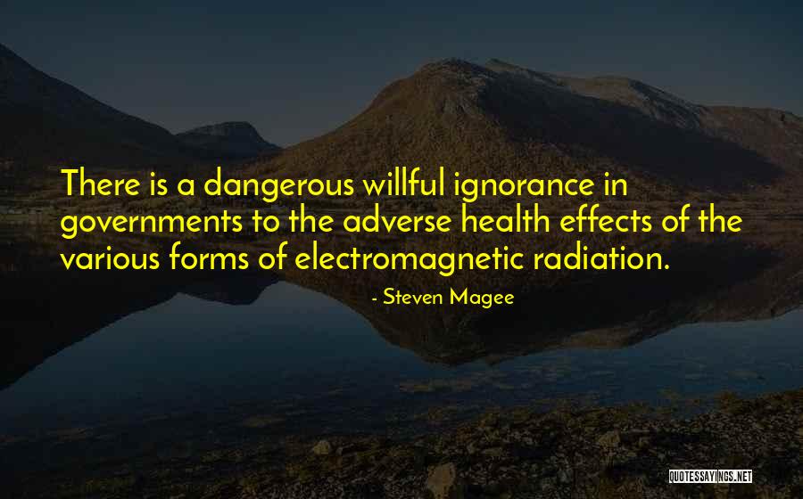 Corruption Of Government Quotes By Steven Magee