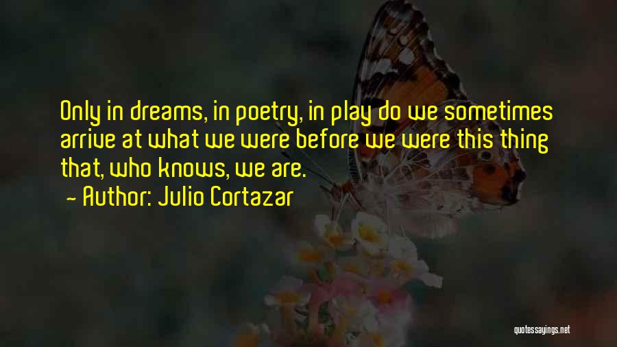 Cortazar Best Quotes By Julio Cortazar