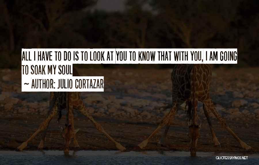Cortazar Best Quotes By Julio Cortazar