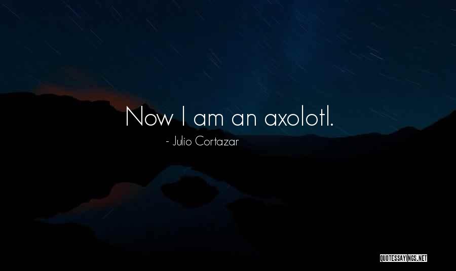 Cortazar Julio Quotes By Julio Cortazar Cortazar Julio Quotes By Julio Cortazar