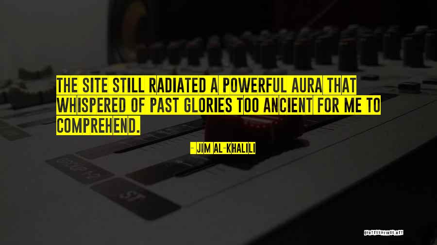 Cortesanas Definicion Quotes By Jim Al-Khalili