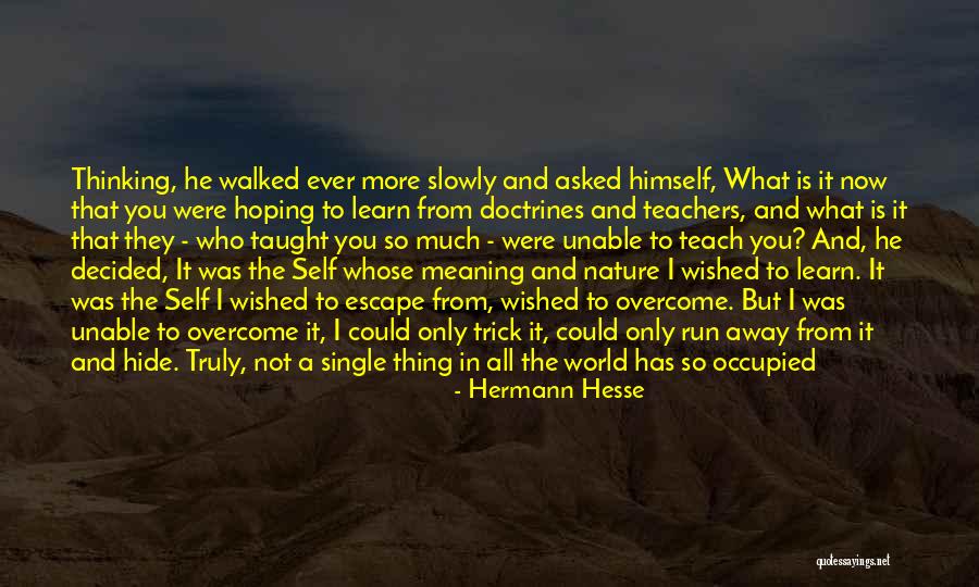 Cortesano Iv Quotes By Hermann Hesse Cortesano Iv Quotes By Hermann Hesse