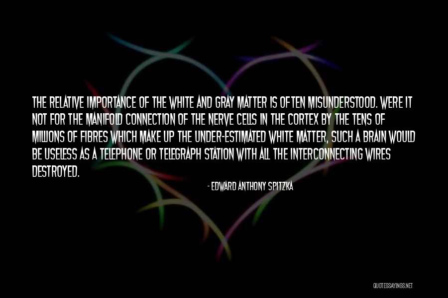 Cortex Of The Brain Quotes By Edward Anthony Spitzka Cortex Of The Brain Quotes By Edward Anthony Spitzka