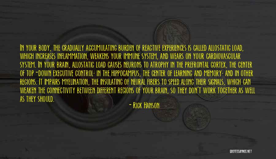 Cortex Of The Brain Quotes By Rick Hanson Cortex Of The Brain Quotes By Rick Hanson