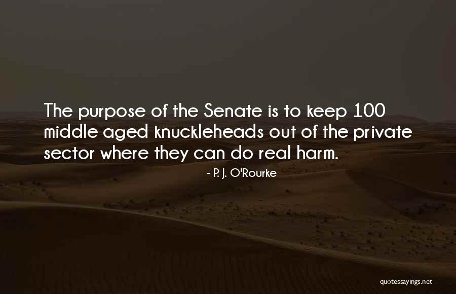 Cortinovis Alessandro Quotes By P. J. O'Rourke Cortinovis Alessandro Quotes By P. J. O'Rourke