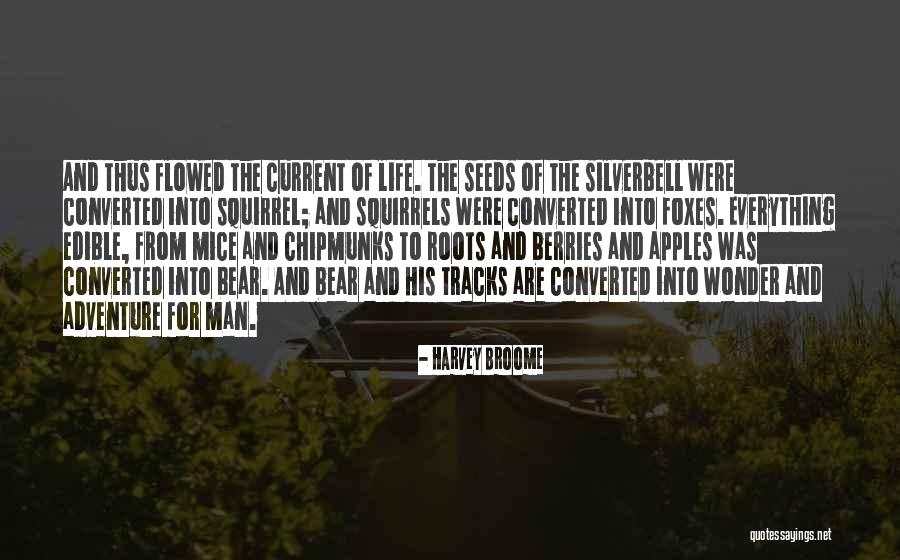 Corvus Zodiac Quotes By Harvey Broome