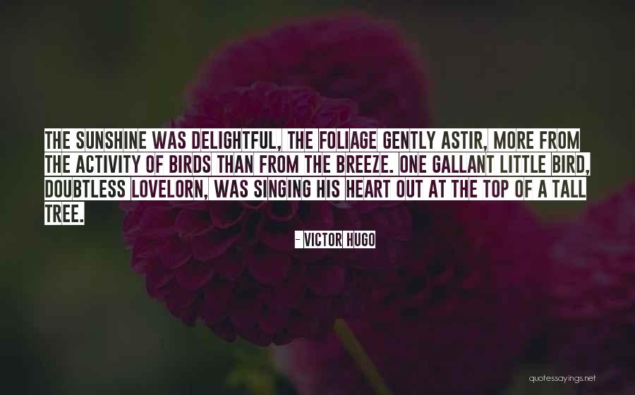 Cosette Quotes By Victor Hugo