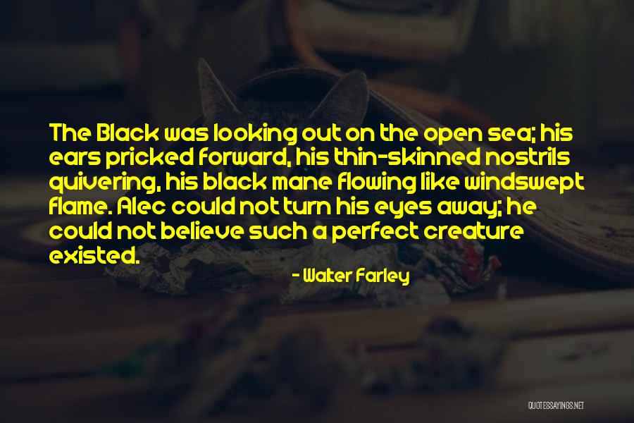 Cosmarul Quotes By Walter Farley Cosmarul Quotes By Walter Farley