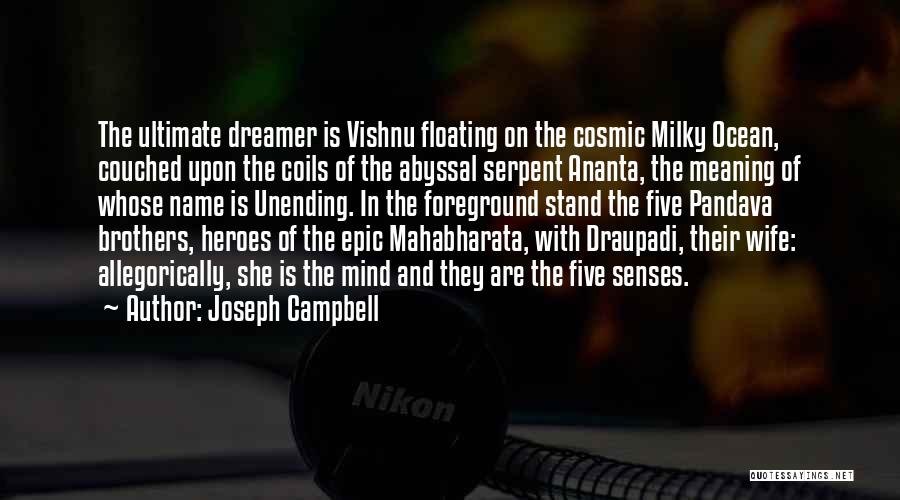 Cosmic Dreamer Quotes By Joseph Campbell