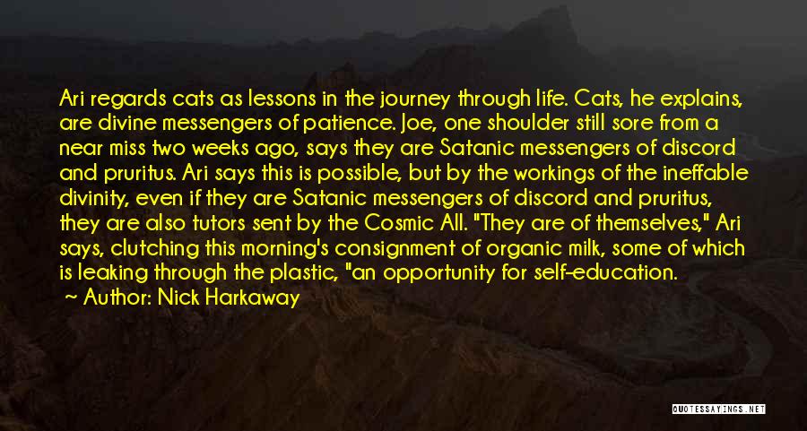 Cosmic Journey Quotes By Nick Harkaway