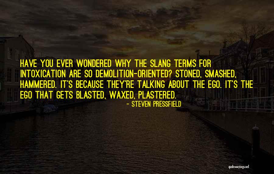 Cosmic Lux Quotes By Steven Pressfield Cosmic Lux Quotes By Steven Pressfield