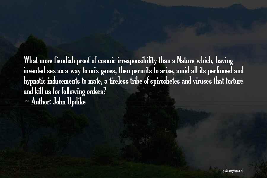 Cosmic Quotes By John Updike