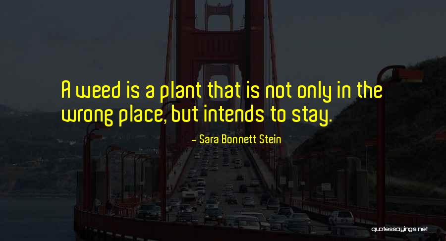 Cosmically Chic Gold Quotes By Sara Bonnett Stein Cosmically Chic Gold Quotes By Sara Bonnett Stein