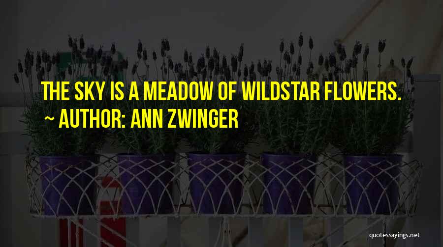 Cosmology Quotes By Ann Zwinger