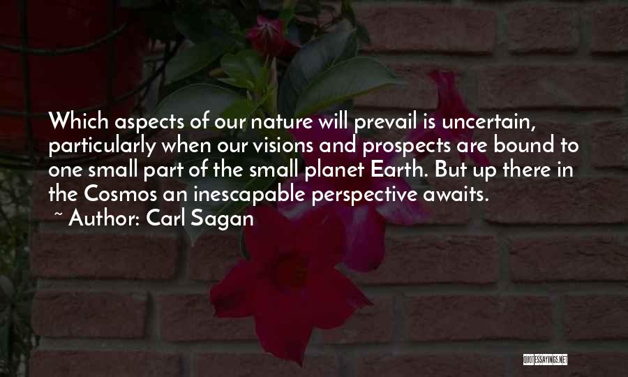 Cosmos Quotes By Carl Sagan