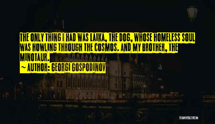 Cosmos Quotes By Georgi Gospodinov