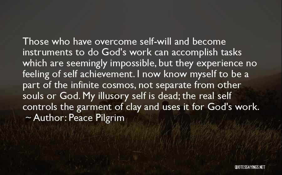 Cosmos Quotes By Peace Pilgrim