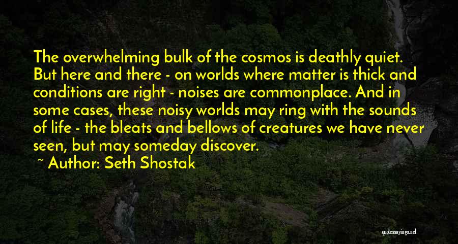 Cosmos Quotes By Seth Shostak