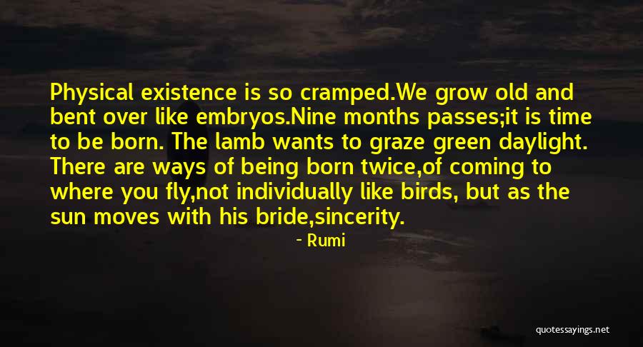 Cosnova Quotes By Rumi Cosnova Quotes By Rumi