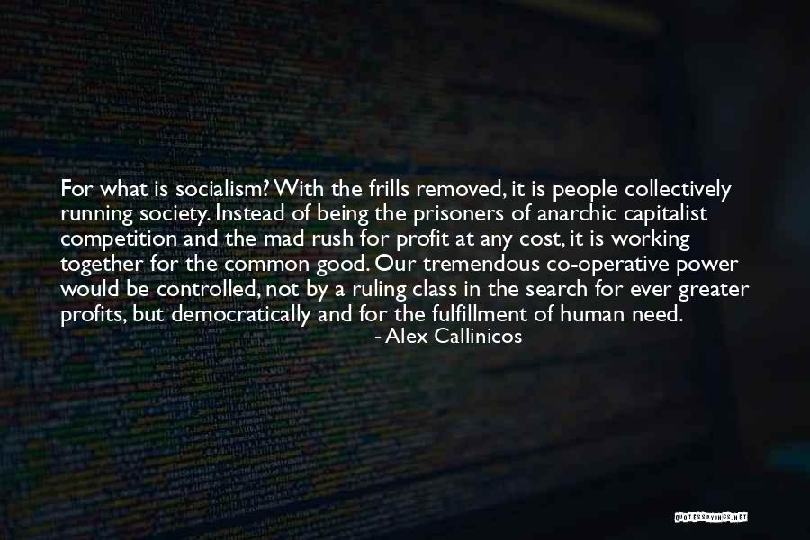 Cost Of Capital Quotes By Alex Callinicos Cost Of Capital Quotes By Alex Callinicos