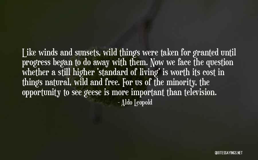 Cost Of Living Quotes By Aldo Leopold