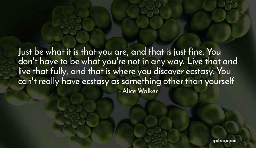 Costantini Chairs Quotes By Alice Walker Costantini Chairs Quotes By Alice Walker