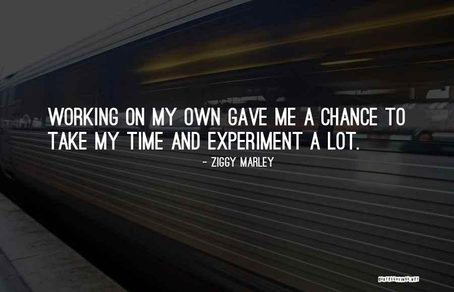 Costed Implementation Quotes By Ziggy Marley Costed Implementation Quotes By Ziggy Marley