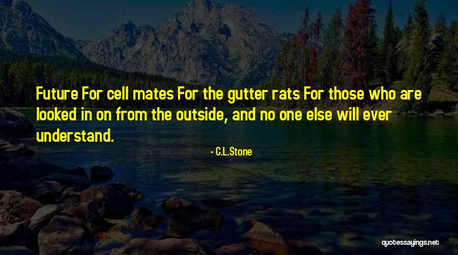 Costurero Hecho Quotes By C.L.Stone Costurero Hecho Quotes By C.L.Stone