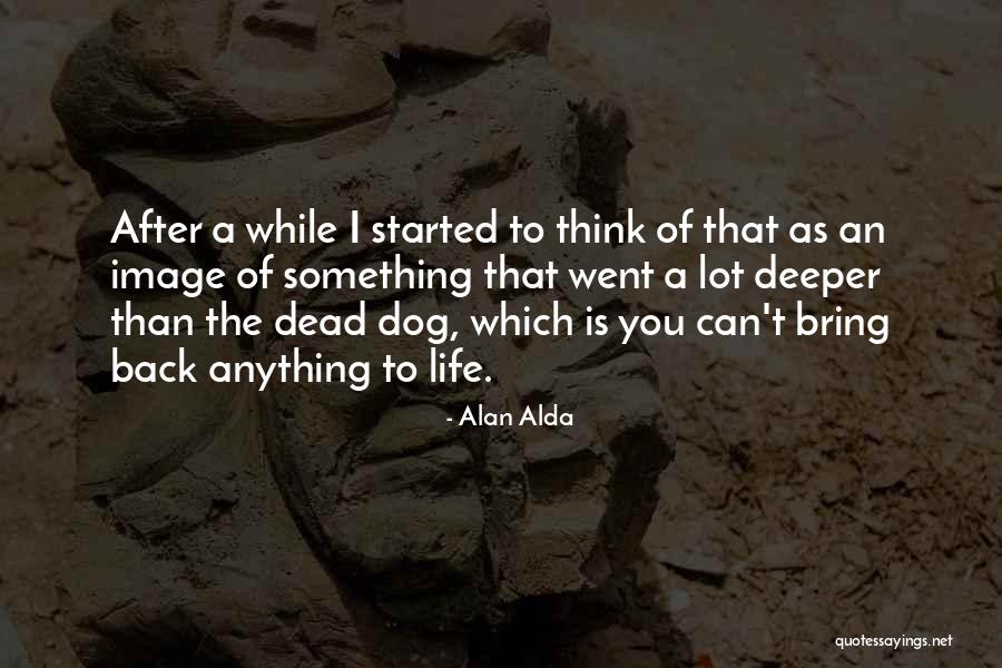 Coteries The Wound Quotes By Alan Alda Coteries The Wound Quotes By Alan Alda