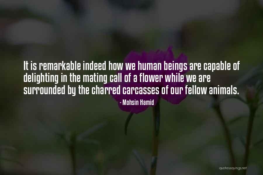 Cotgrave Quotes By Mohsin Hamid Cotgrave Quotes By Mohsin Hamid