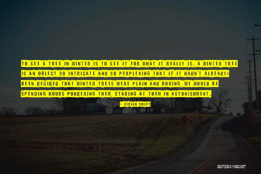 Cotillions Quotes By Vivian Swift Cotillions Quotes By Vivian Swift