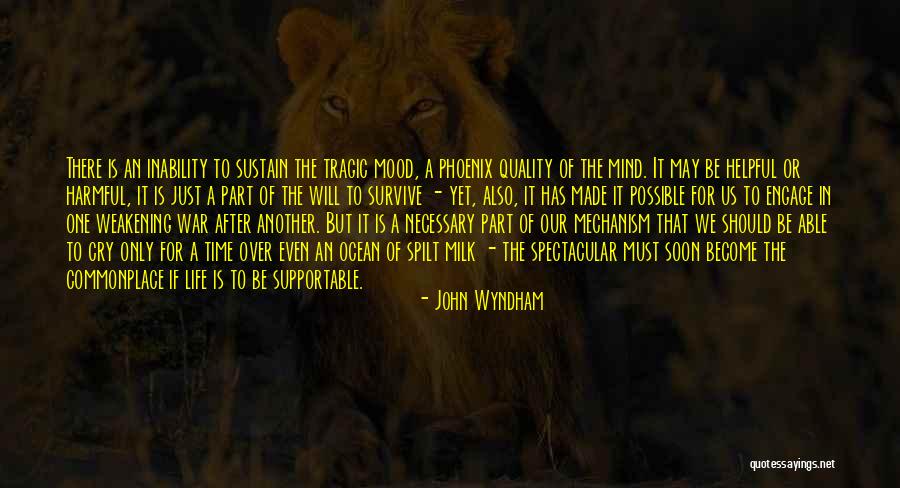 Cotswold Stone Quotes By John Wyndham Cotswold Stone Quotes By John Wyndham