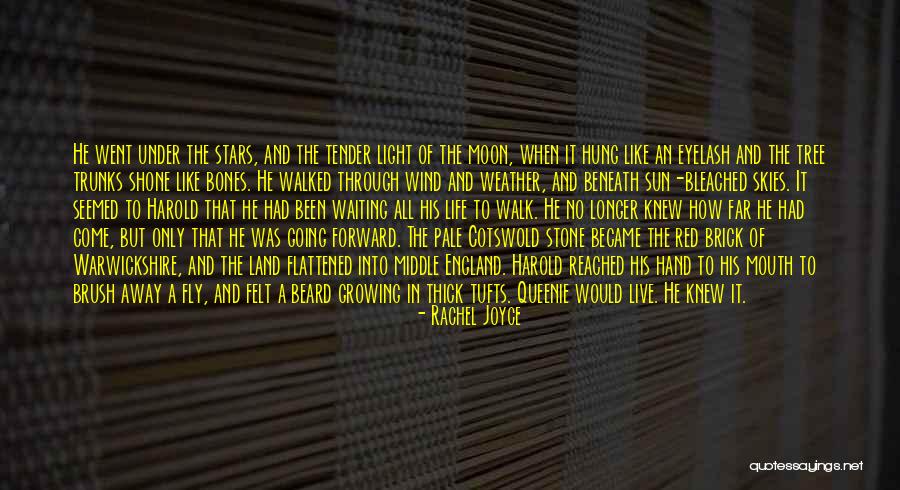 Cotswold Stone Quotes By Rachel Joyce Cotswold Stone Quotes By Rachel Joyce