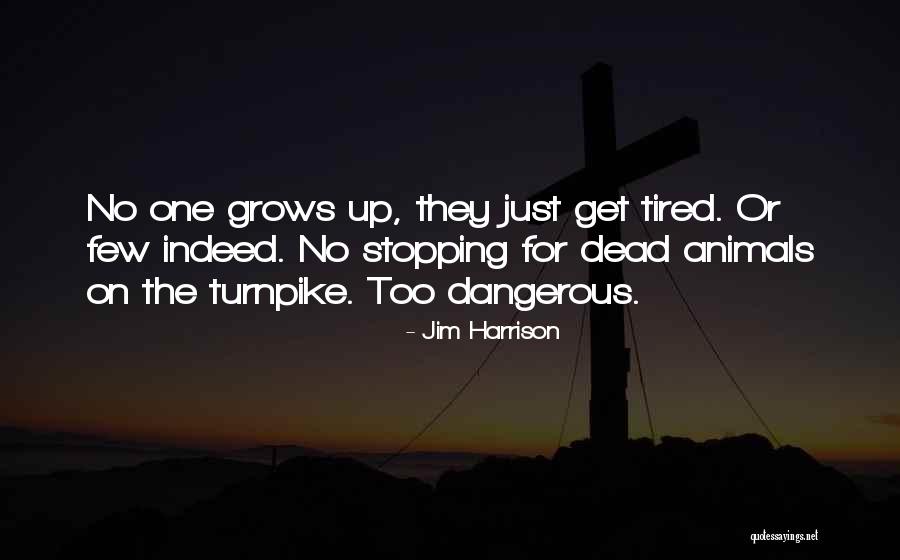 Cottam Quotes By Jim Harrison Cottam Quotes By Jim Harrison