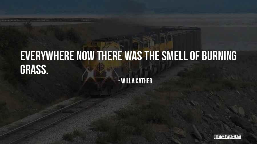 Cottenham Quotes By Willa Cather Cottenham Quotes By Willa Cather
