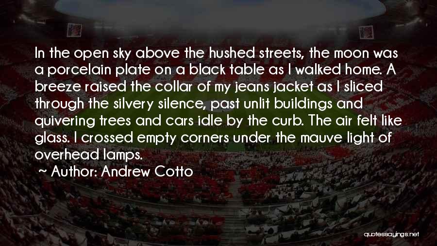 Cotto Quotes By Andrew Cotto