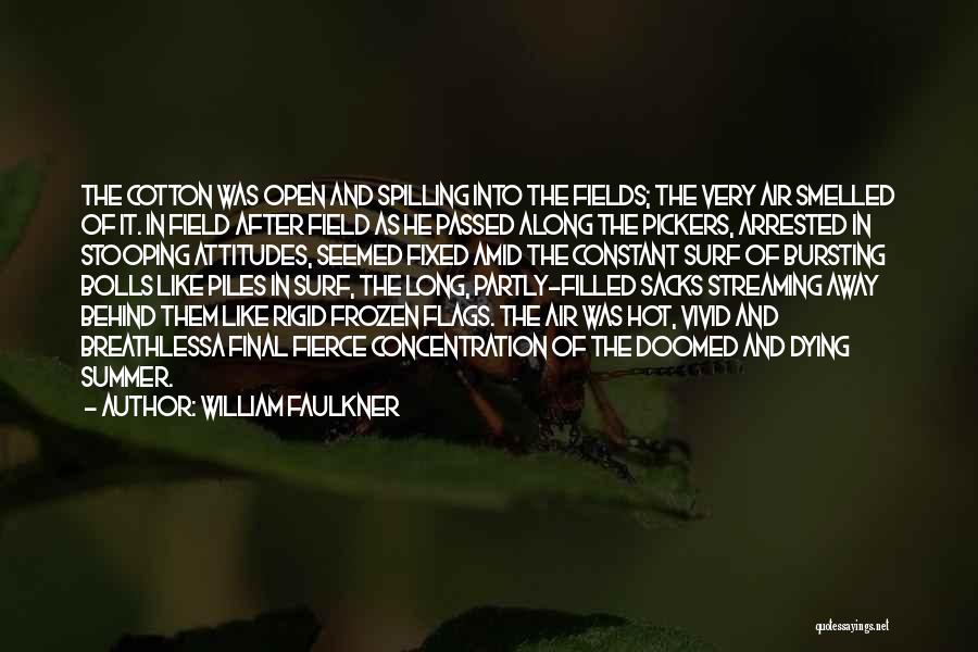 Cotton Quotes By William Faulkner