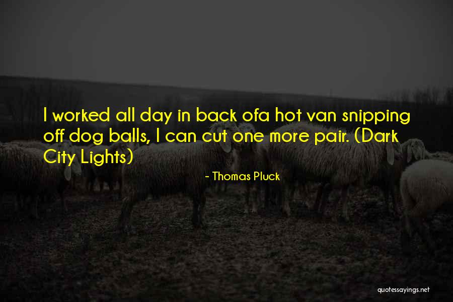 Couard Traduction Quotes By Thomas Pluck Couard Traduction Quotes By Thomas Pluck