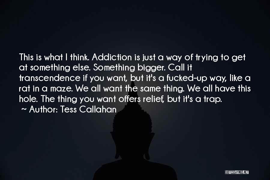 Couchero Quotes By Tess Callahan