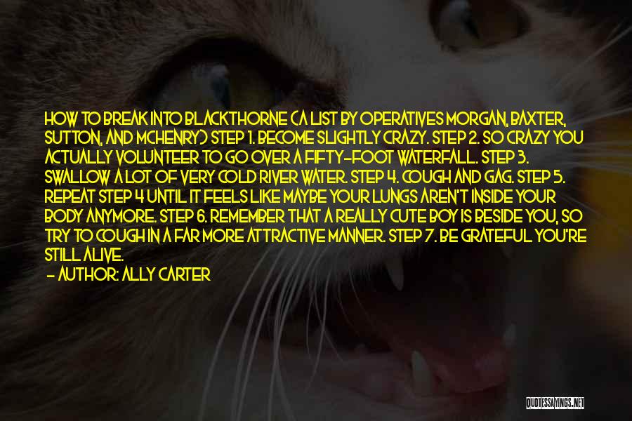 Cough And Cold Quotes By Ally Carter