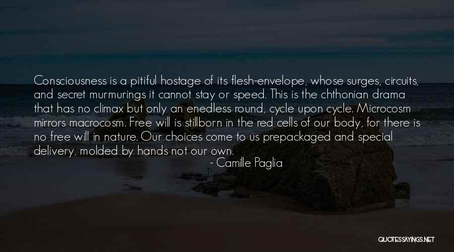 Cougill Apartments Quotes By Camille Paglia Cougill Apartments Quotes By Camille Paglia
