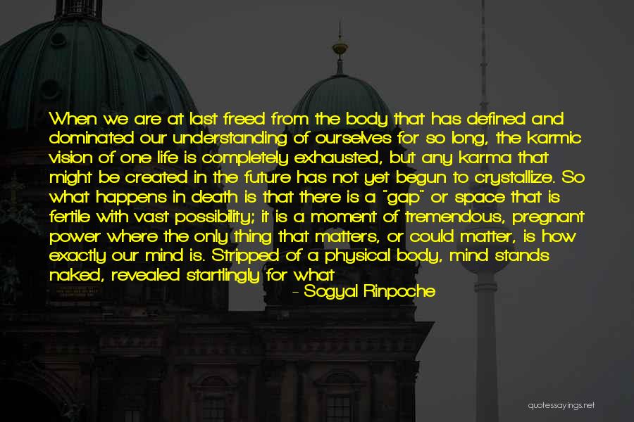 Could Be Pregnant Quotes By Sogyal Rinpoche Could Be Pregnant Quotes By Sogyal Rinpoche