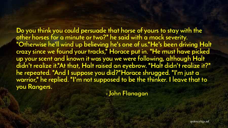 Could Have Been Yours Quotes By John Flanagan