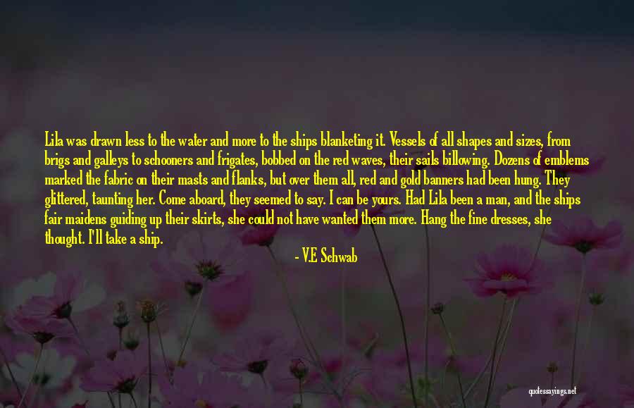 Could Have Been Yours Quotes By V.E Schwab